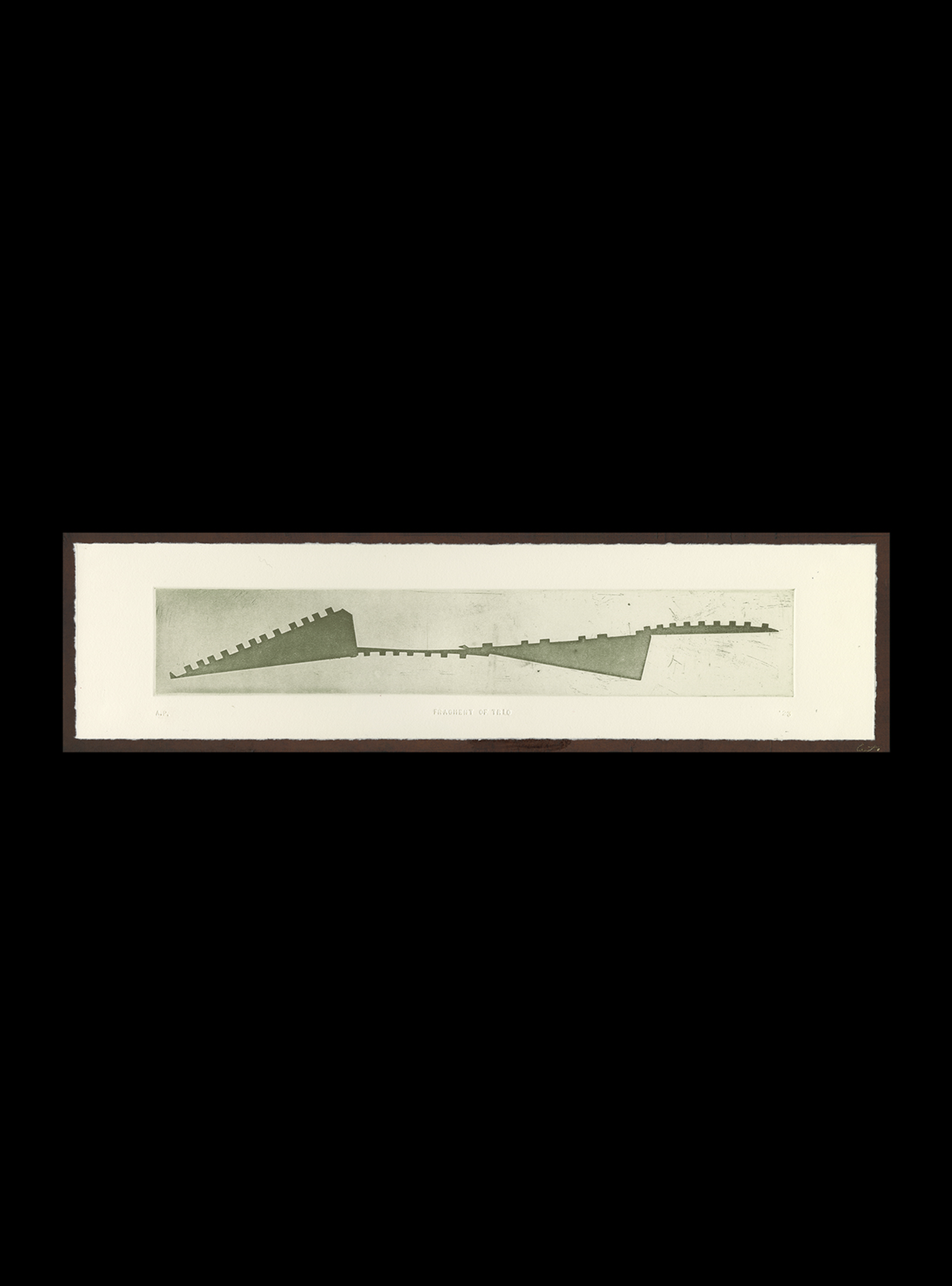 Fragment of TRIO